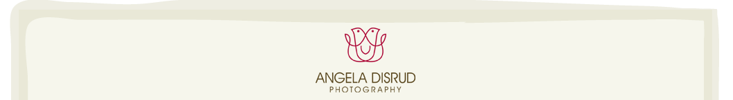 Angela Disrud Photography logo